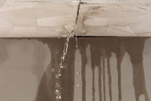 Professional Structural Drying technician working in Charlotte, TX